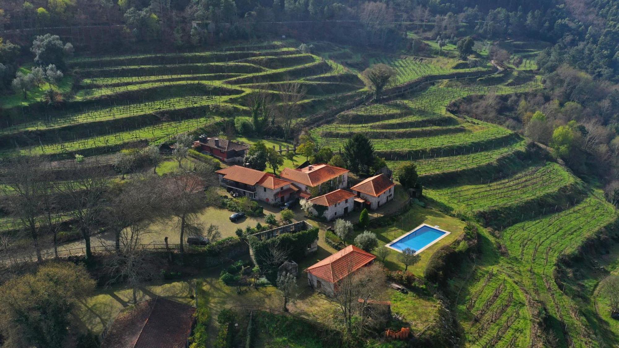 阿马兰特 Quinta Da Pousadela - Agroturismo旅馆 外观 照片