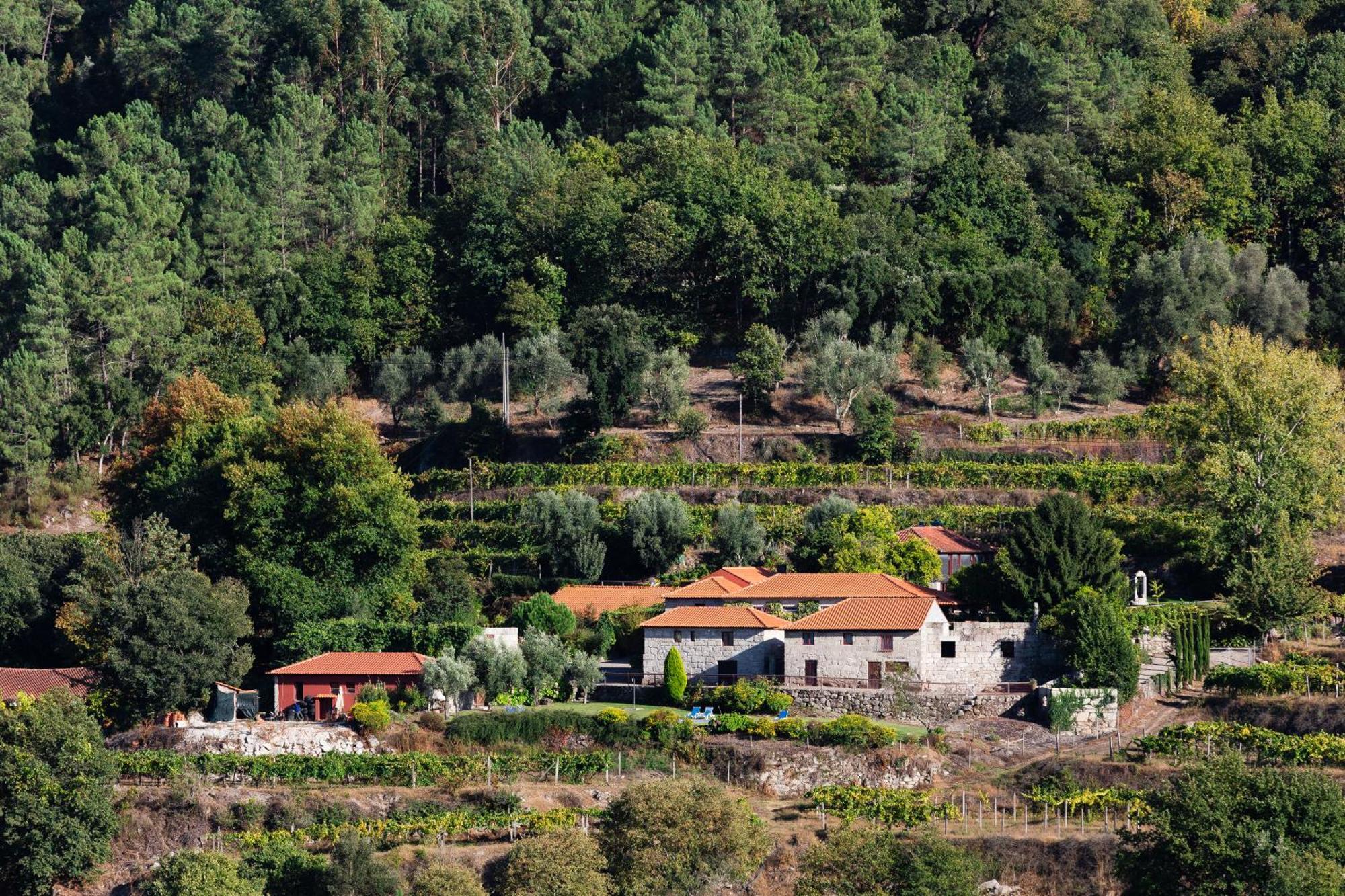 阿马兰特 Quinta Da Pousadela - Agroturismo旅馆 外观 照片