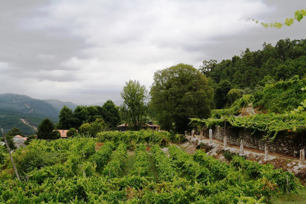 阿马兰特 Quinta Da Pousadela - Agroturismo旅馆 外观 照片